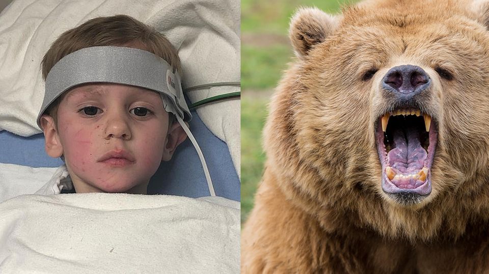 Dreijähriger verschwindet zwei Tage im Wald - und kehrt mit unfassbarer Geschichte zurück