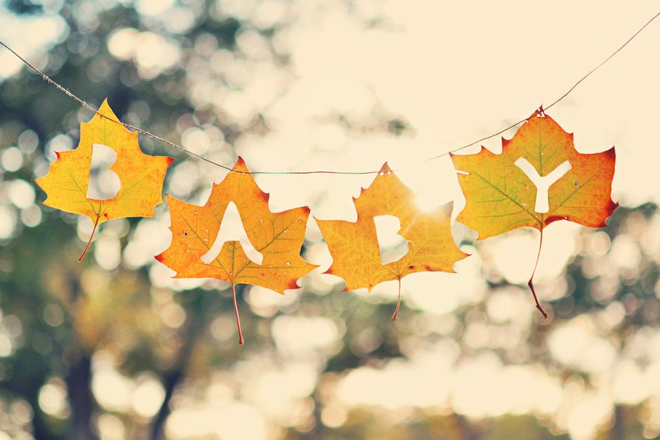 Twitter: Herbstlaub mit den Buchstaben BABY ausgestanzt