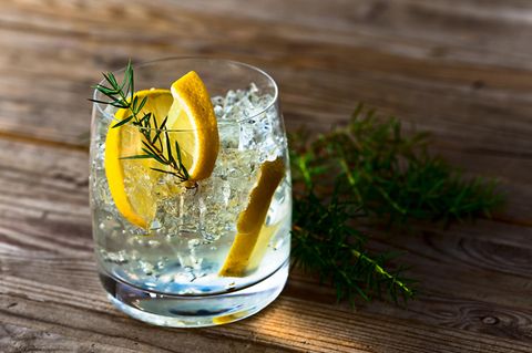 Intelligenz: Gin Tonic