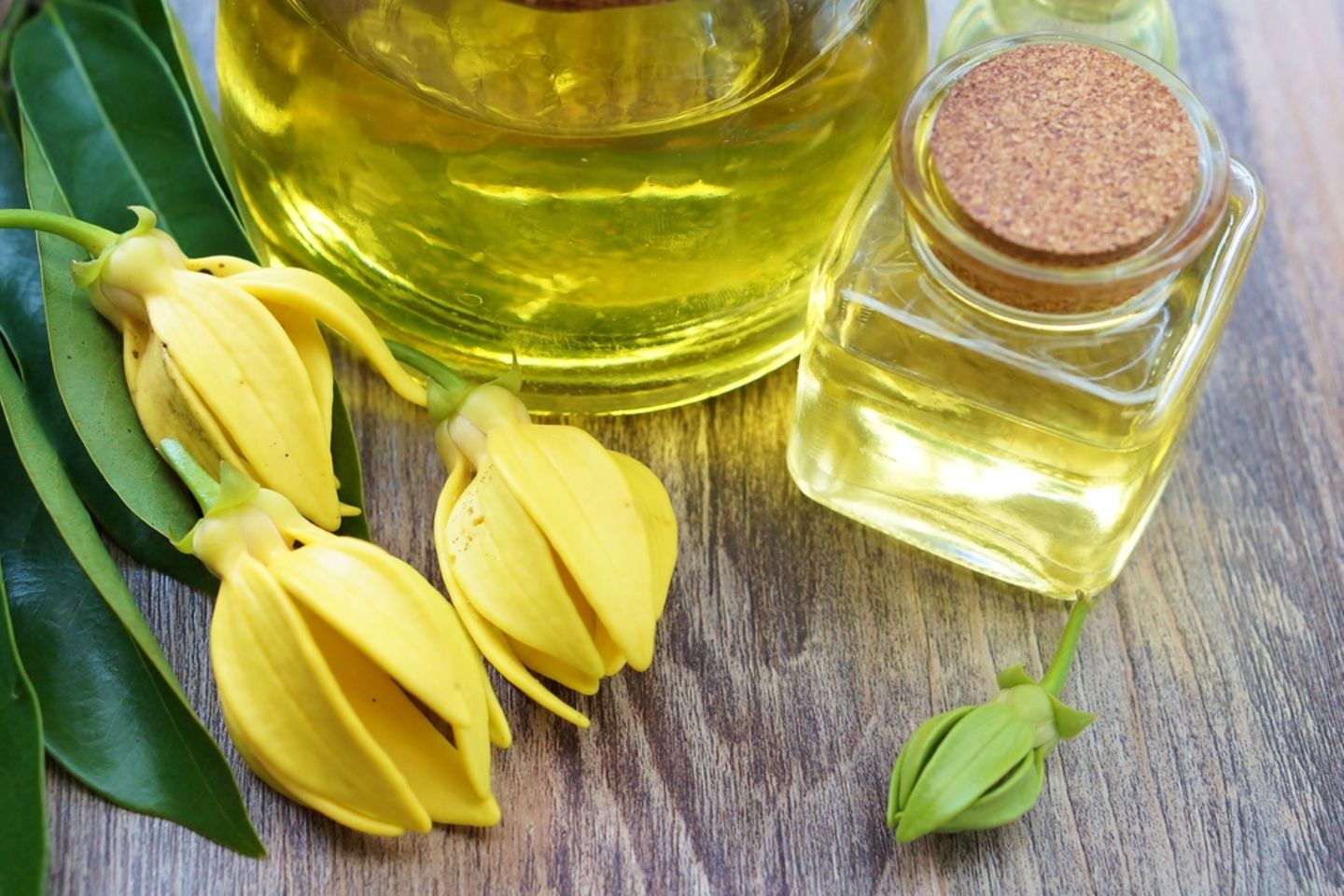Ylang Ylang: Wirkung und Anwendung: Kleine Flasche gefüllt mit hellem Öl, daneben lieben Ylang Ylang Blüten