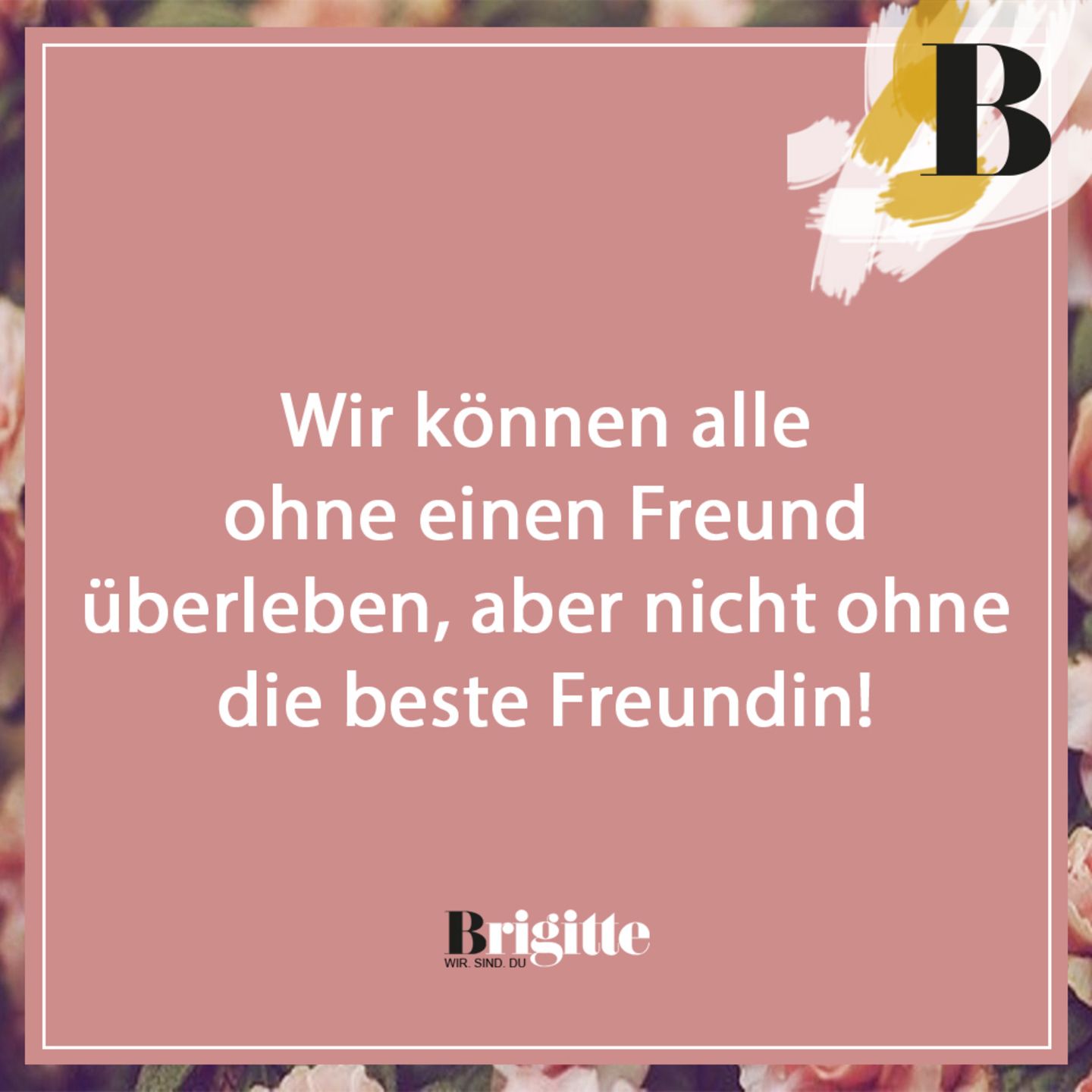 Spruch des Tages Weisheiten für jeden Tag BRIGITTE.de