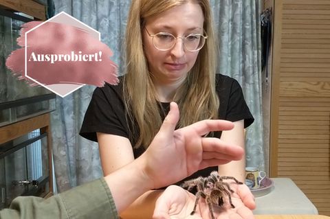 Konfrontatiostherapie bei Spinnenangst: Frau mit Spinne auf der Hand
