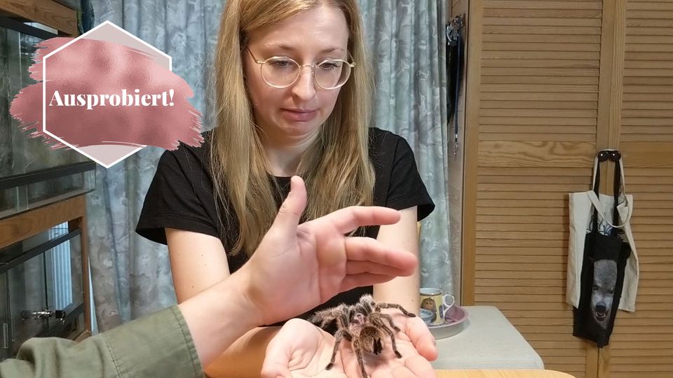 Konfrontatiostherapie bei Spinnenangst: Frau mit Spinne auf der Hand