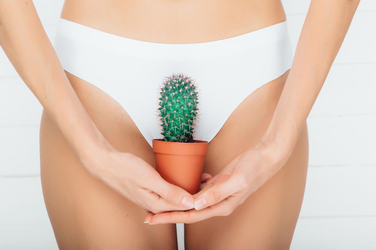 Intimfrisuren-Trends 2019: Eine Frau mit einem Kaktus vor der Vagina