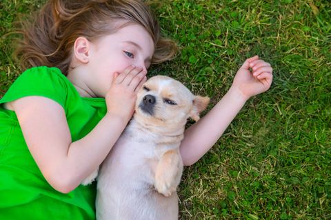Haustiere für Kinder: Mädchen liegt mit Chihuahua auf dem Rasen und flüstert dem Hund etwas ins Ohr