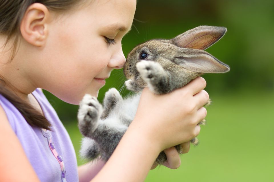 Haustiere für Kinder: Mädchen mit Kaninchen