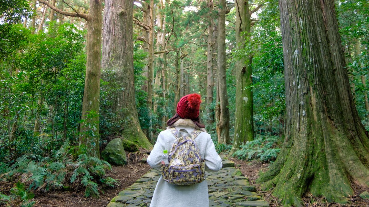 Peter Wohlleben erklärt: Wie die Natur glücklich macht | BRIGITTE.de