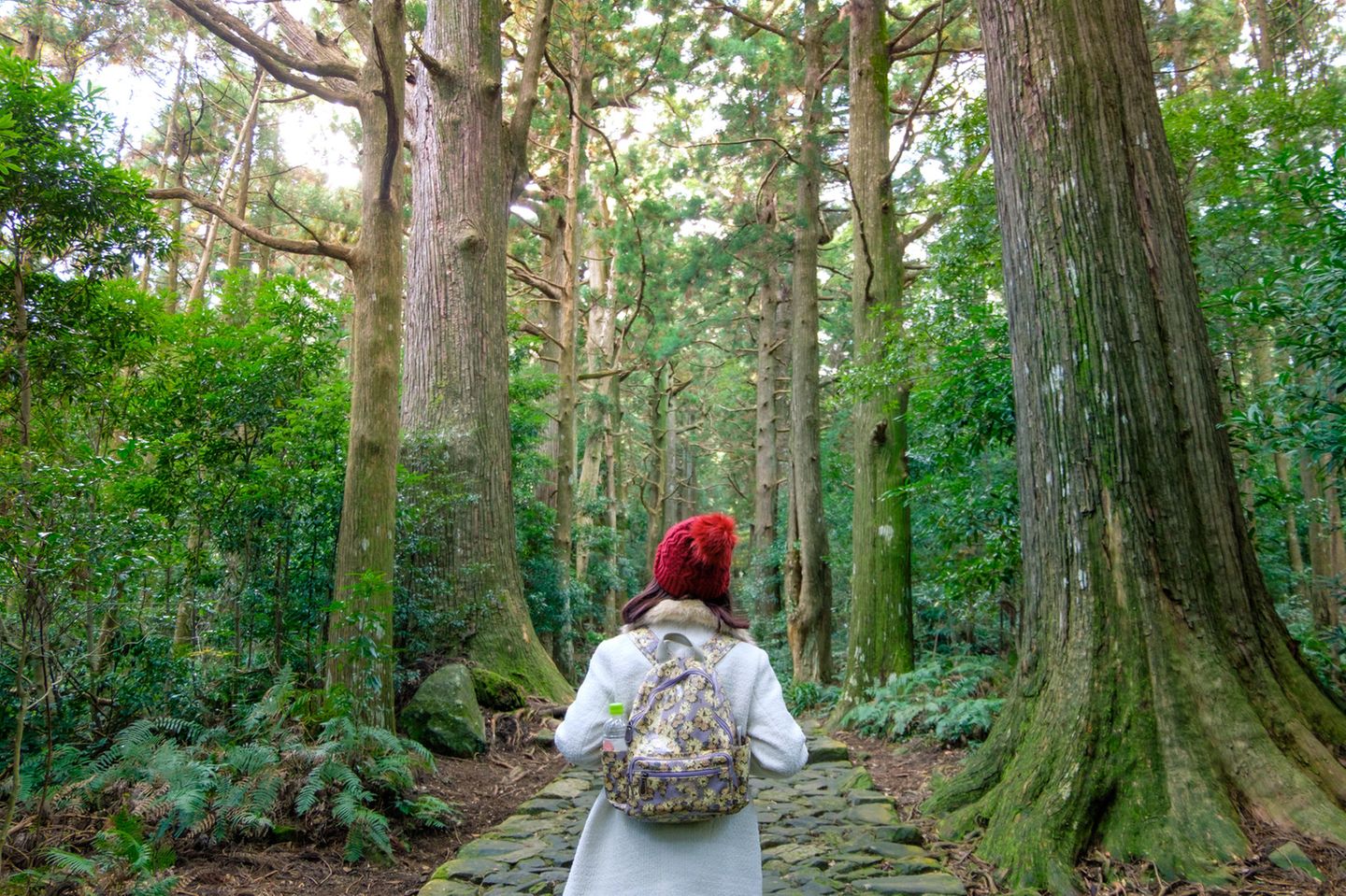 Dinge, die in der Natur glücklich machen: Frau im Wald
