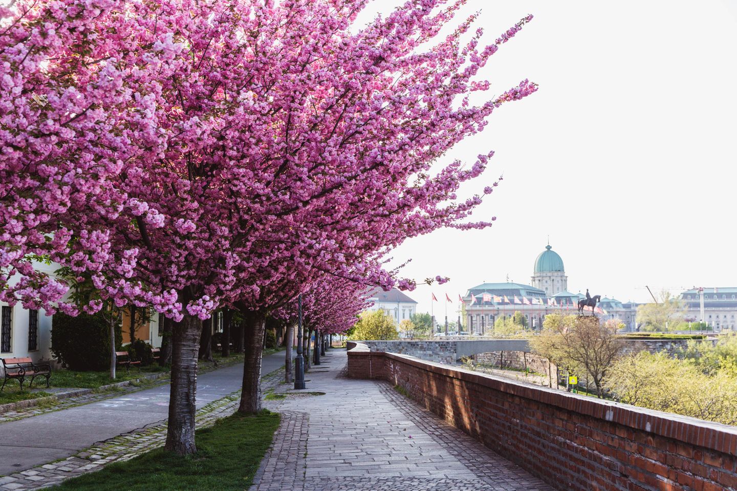 Frühlingsziele: Budapest