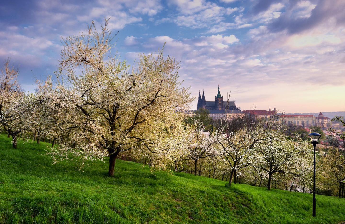 Frühlingsziele: Prag