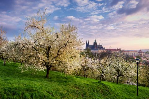 Frühlingsziele: Prag