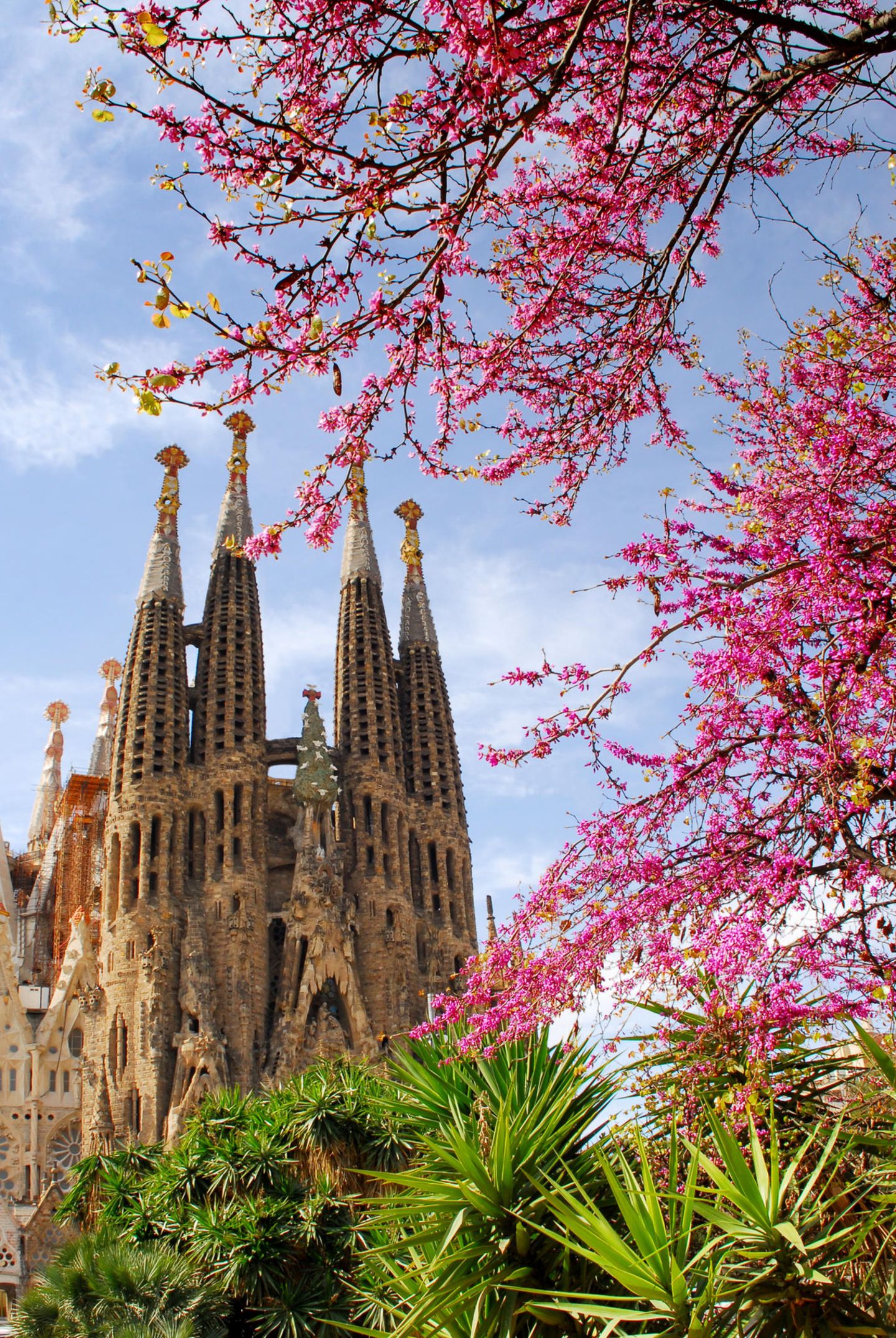 Frühlingsziele: Barcelona