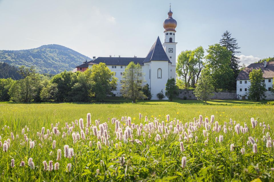 Frühlingstrips in Europa: Oberbayern