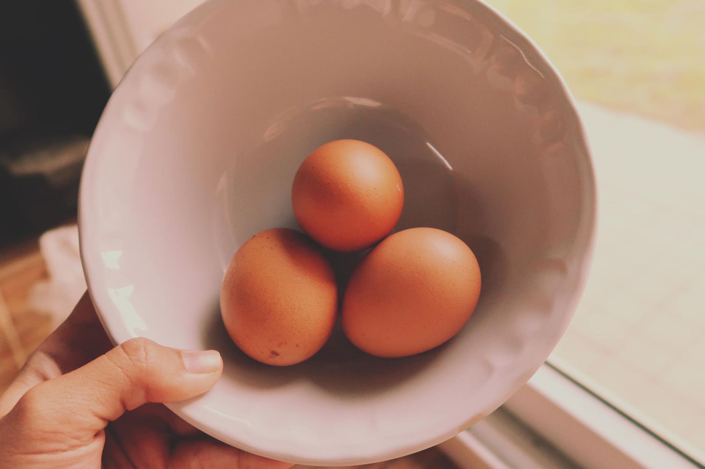 Eier-Test: So geht der Frischetest für Eier: Drei Eier liegen in einer Porzellanschüssel