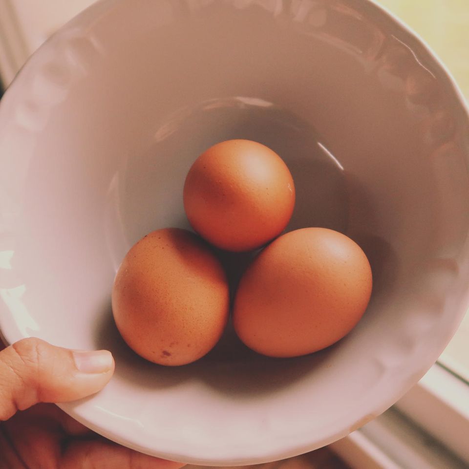 Eier-Test: So geht der Frischetest für Eier: Drei Eier liegen in einer Porzellanschüssel