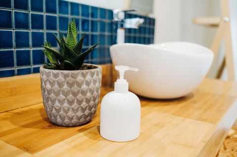 Pflanzen fürs Bad: Zimmerpflanze neben dem Waschbecken