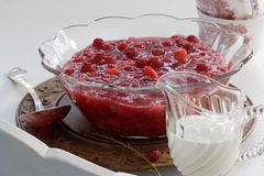 Johannisbeergrütze mit Kokossoße Johannisbeergrütze mit Kokossoße