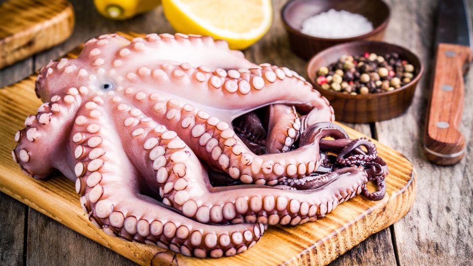 Oktopus saugt sich an Frau fest