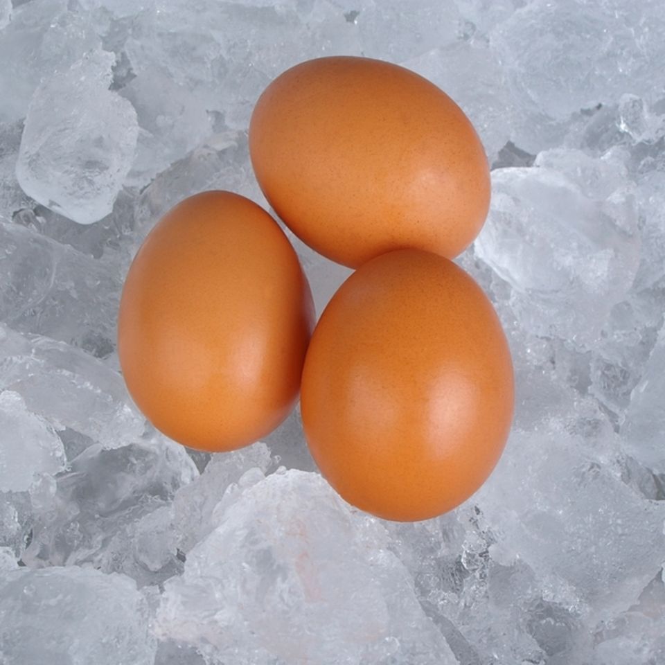 Eier einfrieren: So gelingt es: Drei Eier liegen auf einer Schicht aus Eiswürfeln