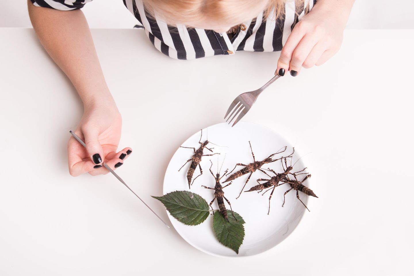 Insekten essen: Heuschrecken auf einem Teller