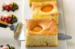 Kuchen-Rezepte | BRIGITTE.de