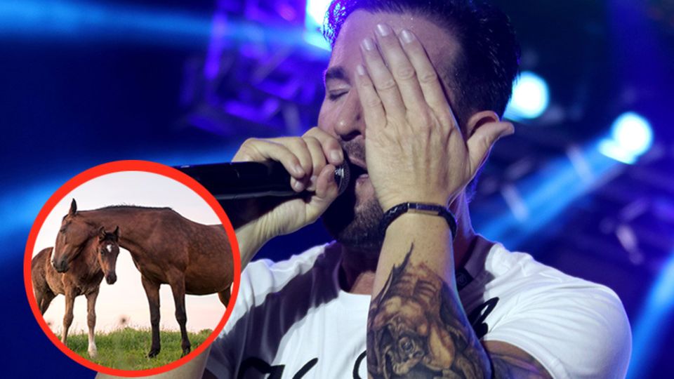 Karriere-Aus? Michael Wendler's Pferde machen ihm zu schaffen