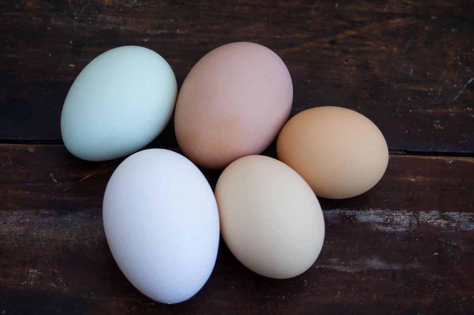 Warenkunde: Alles über Eier