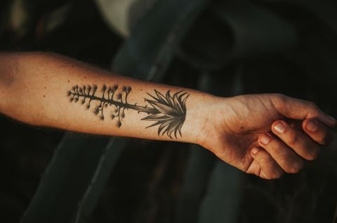 Unterarm Tattoo: Tätowierter Baum auf dem Unterarm