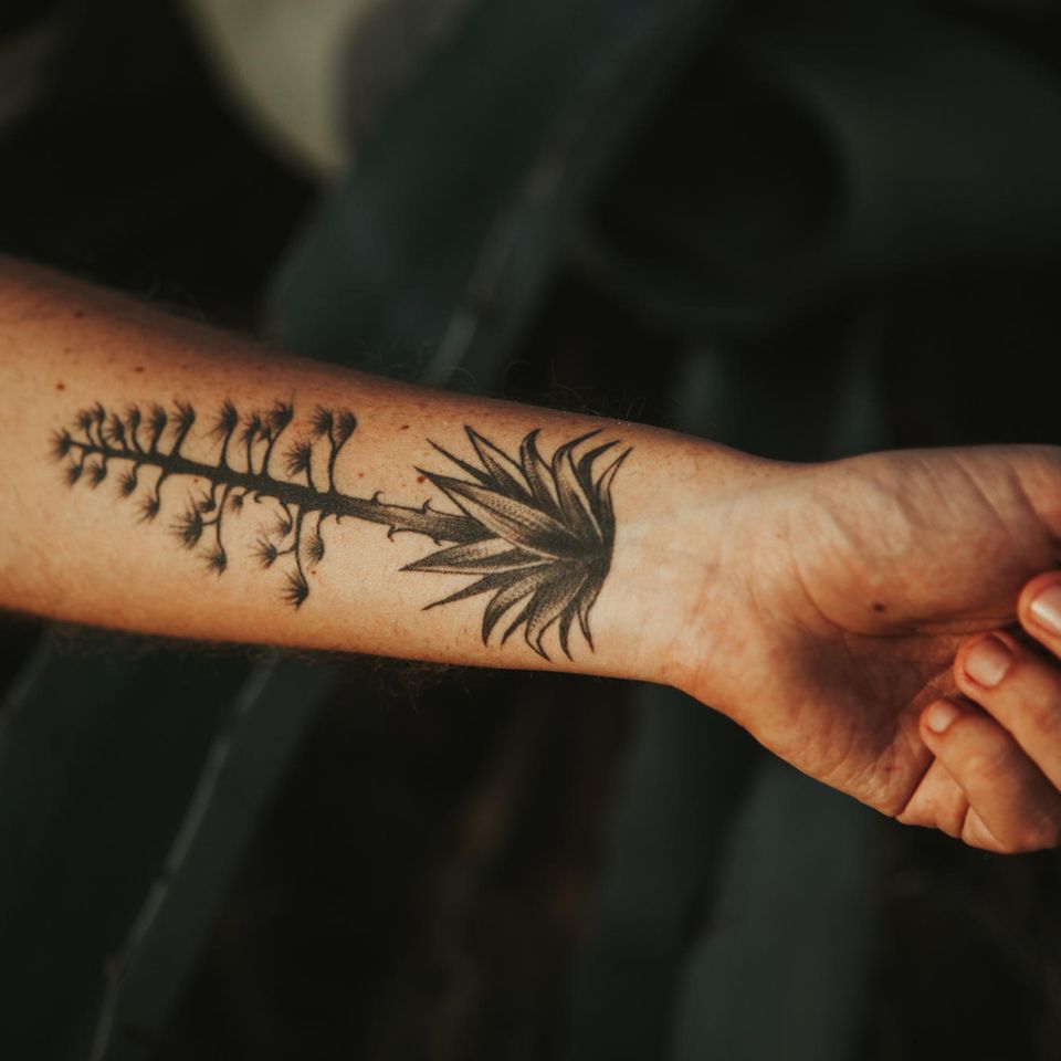 Unterarm Tattoo: Tätowierter Baum auf dem Unterarm