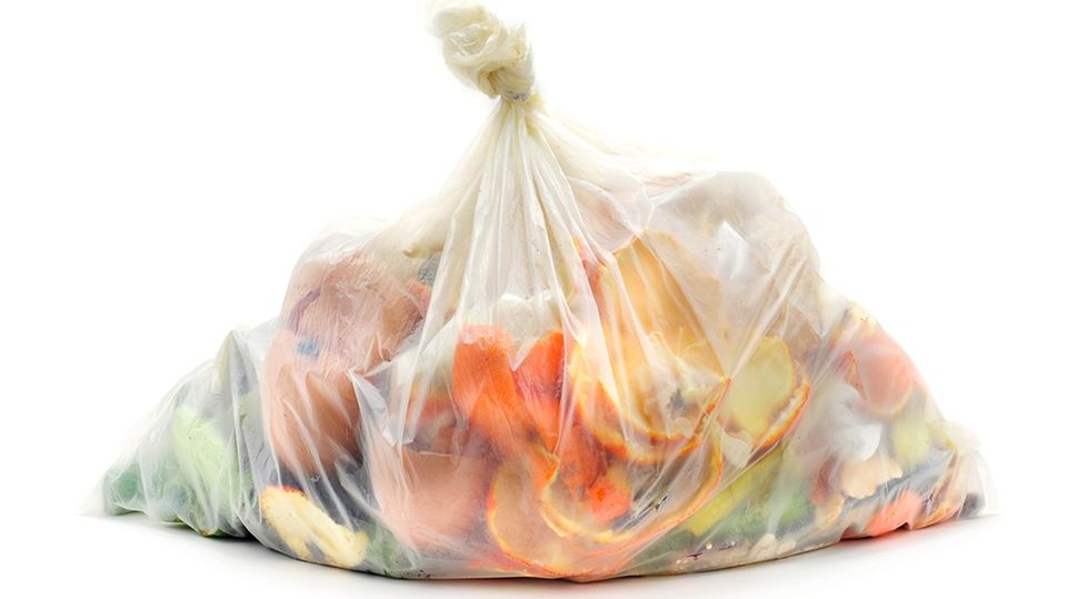 Bio-Mülltüten: Wie biologisch abbaubar sind sie wirklich?