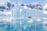 10 "Einmal-im-Leben-Trips", die du gemacht haben solltest: Boot mit Menschen in der Antarktis