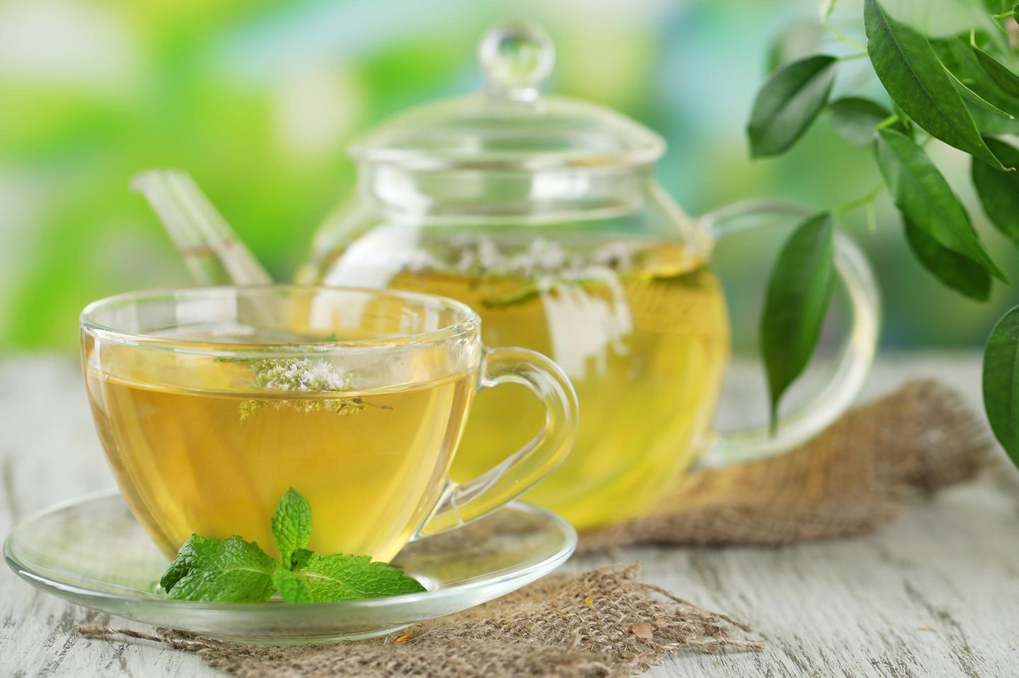 Wirkung von grünem Tee: Grüner Tee in Krug und Kanne
