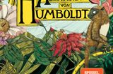Bücher für den Urlaub: Buchcover "Die Abenteuer des Alexander von Humboldt"