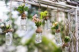 Gartendeko selber machen: Flaschen mit Blumen hängen von Gartentor