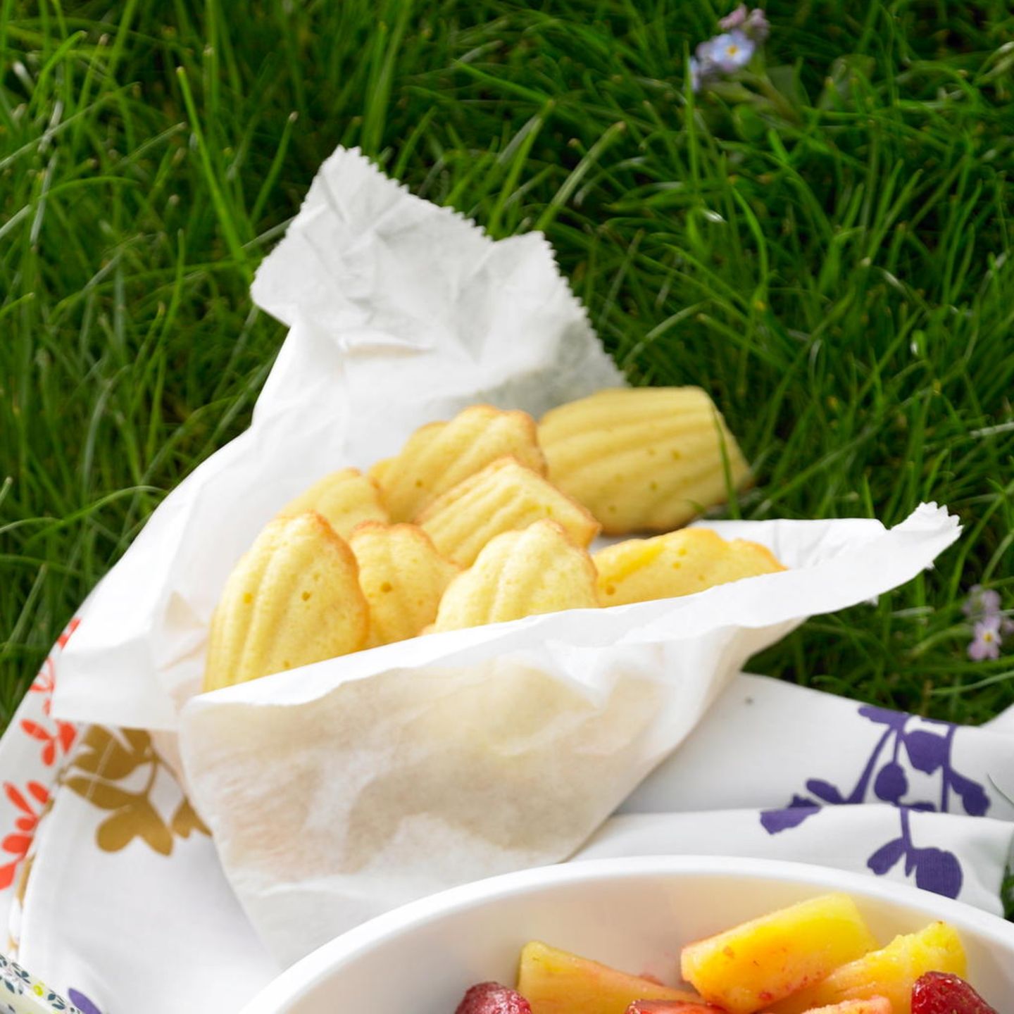 Madeleines