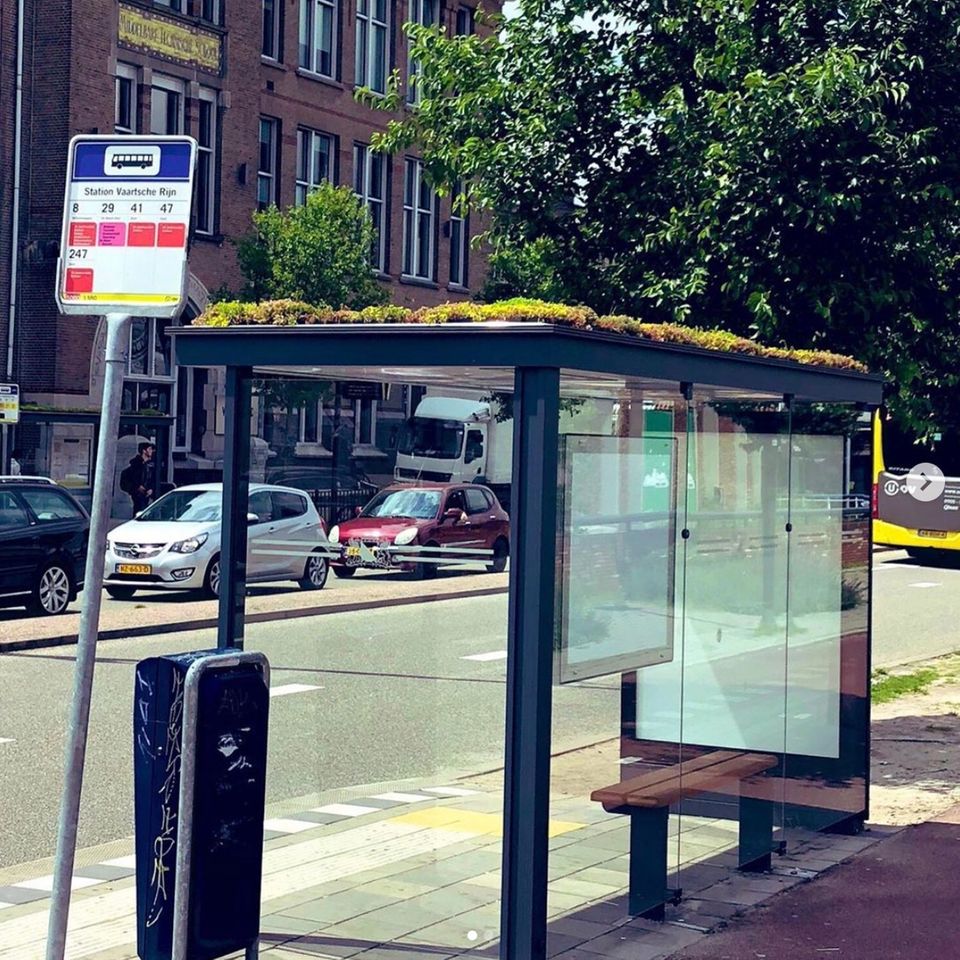 Utrecht bepflanzt Bushaltestellen gegen das Bienensterben