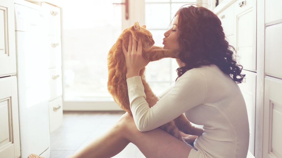 Falsche Tierliebe: Diese Dinge du niemals mit deiner Katze machen Falsche Tierliebe: Diese Dinge du niemals mit deiner Katze machen