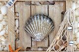 Basteln mit Muscheln: Holzschild mit Muschel, Seestern und Fischernetz beklebt