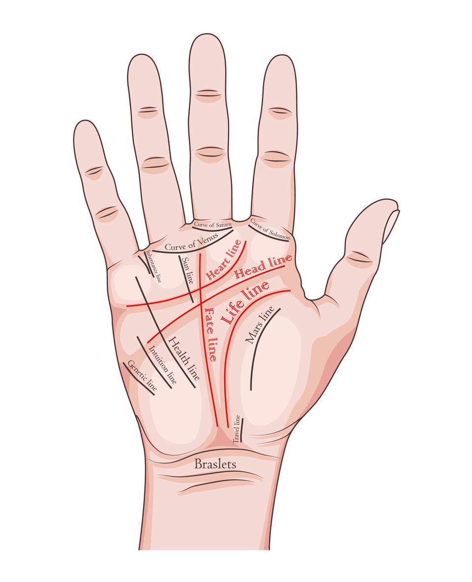 Handlesen: Die Abbildung einer Hand mit den unterschiedlichen Handlinien