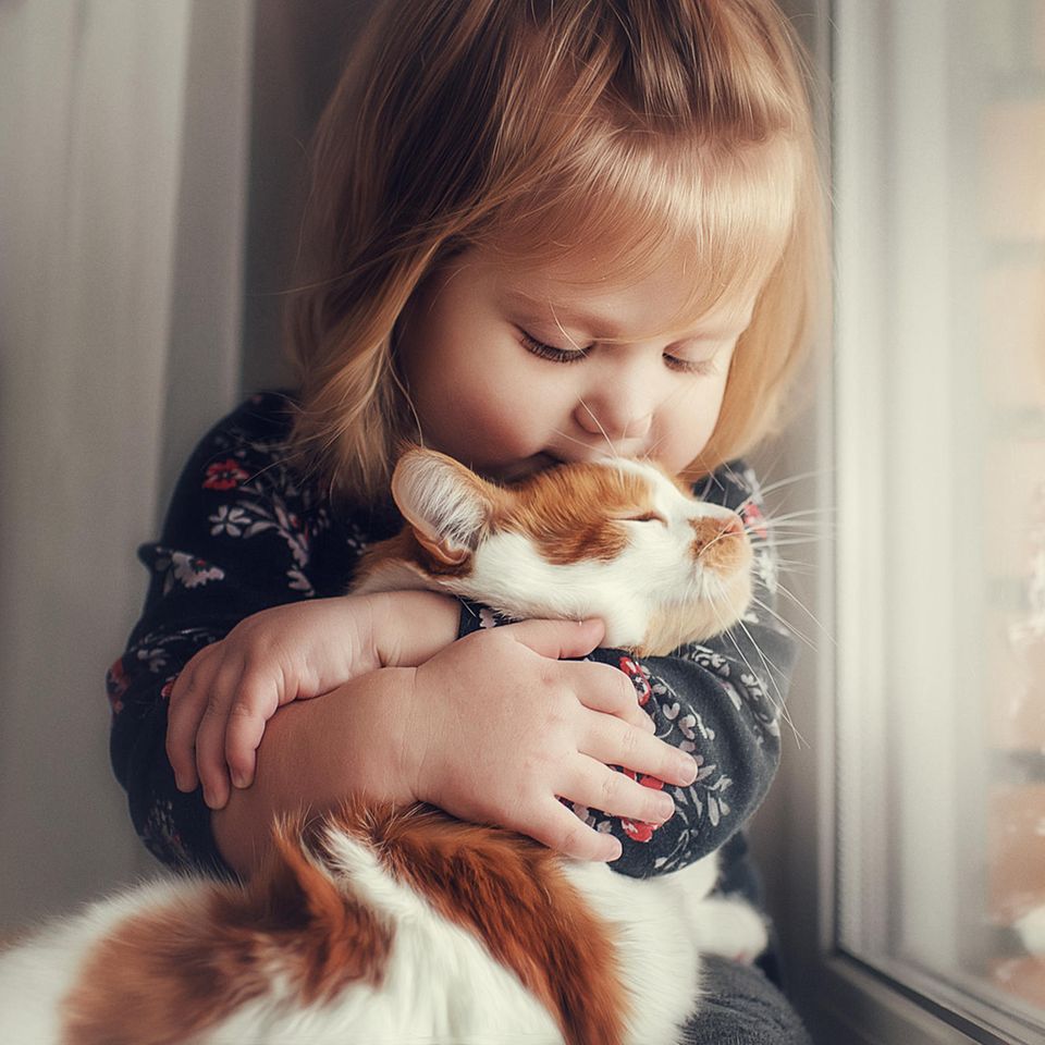 Kinderweisheiten über die Liebe: Mädchen kuschelt mit Katze
