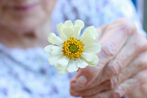 Liebeslektionen von 100-Jährigen: Eine alte Frau hält eine Blume