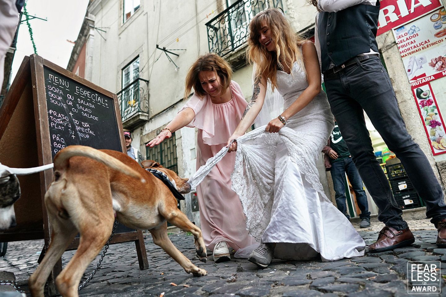 Hochzeitsfoto: Hund zerrt am Hochzeitskleid