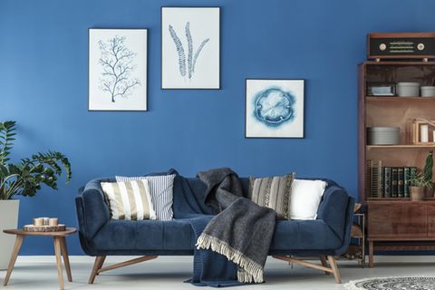 Feng Shui im Wohnzimmer: Blaues Sofa steht an einer blauen Wand mit Bildern. Daneben ein Bücherregal und ein Beistelltisch