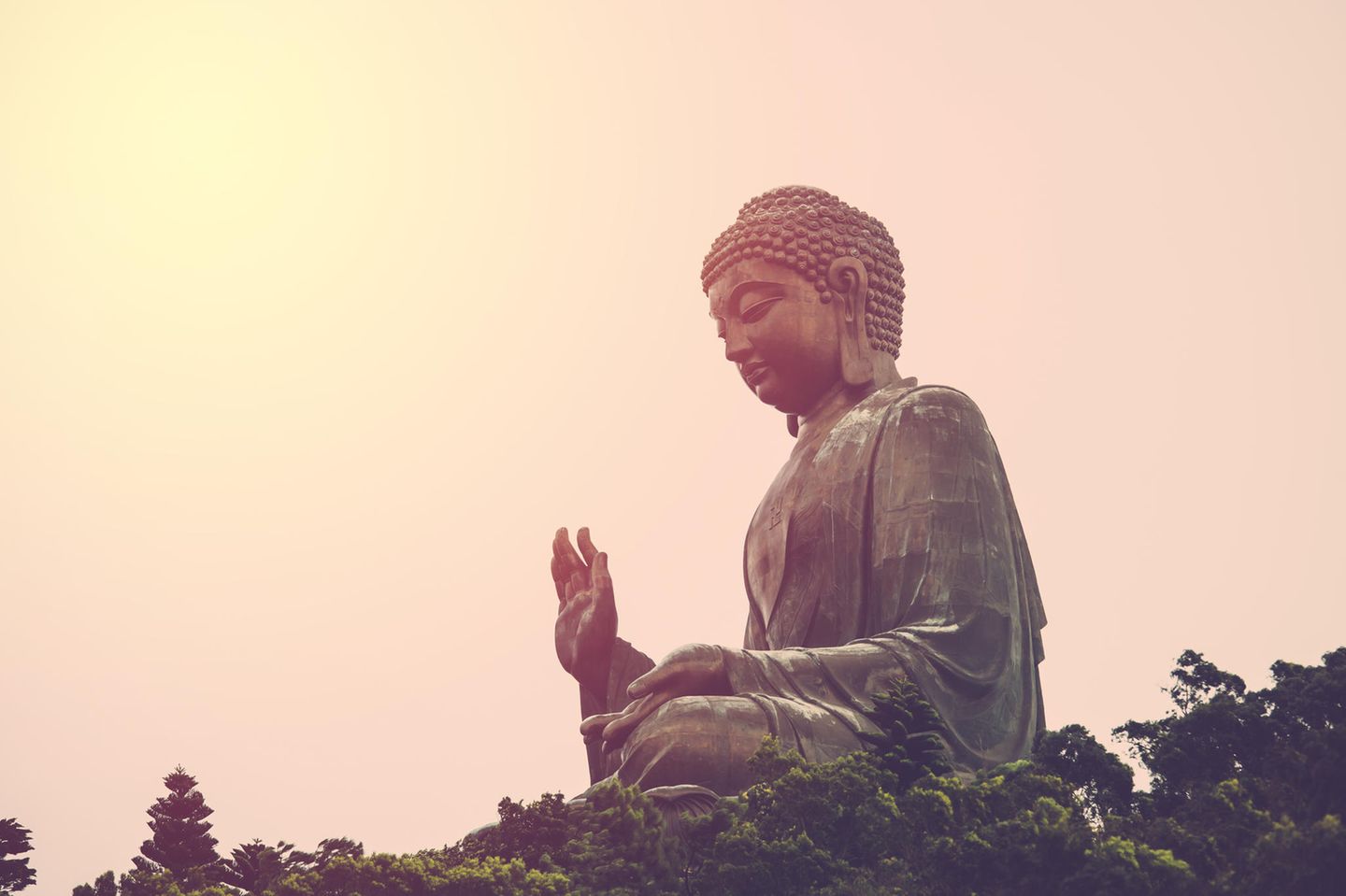 Buddha Zitate: Buddha Statue