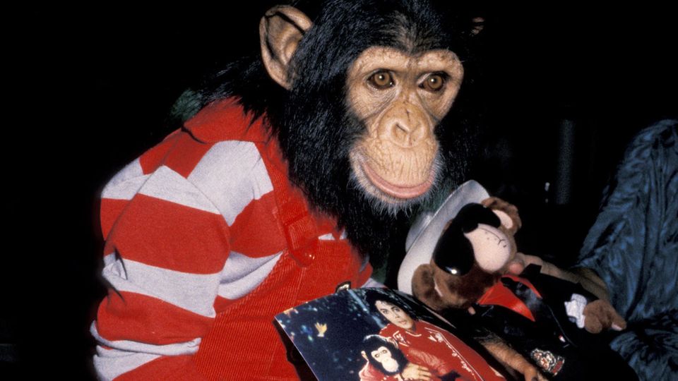 Michael Jackson: Das ist aus dem Schimpansen des Sängers geworden