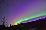 Polarlichter: Nachthimmel mit grünen und lilafarbenen Polarlichtern über einem Hüel