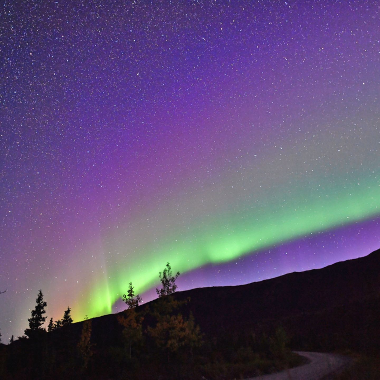 Polarlichter: Nachthimmel mit grünen und lilafarbenen Polarlichtern über einem Hüel