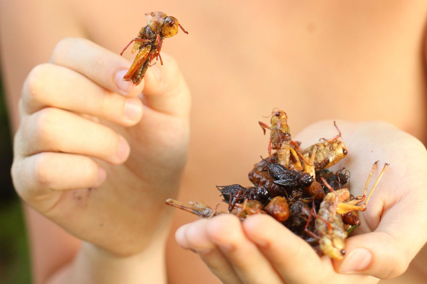 Insekten essen und die Umwelt schonen: Frau mit einer Hand voll Insekten