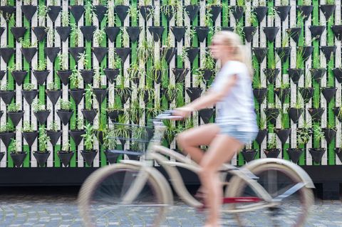 Gärtnern in der Stadt - die besten Tipps: Frau auf Fahrrad vor Pflanzenwand