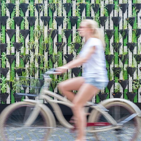 Gärtnern in der Stadt - die besten Tipps: Frau auf Fahrrad vor Pflanzenwand